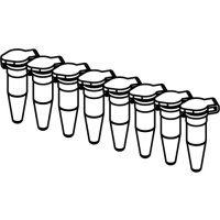 Barrette de 8 tubes PCR 0,2 ml (10,2 x 72,4 mm)